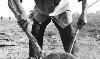 亚克西库鲁曼什么意思 亚克西是什么意思