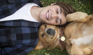 狗为伴侣动物拟禁食