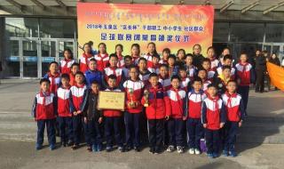 教练员考试成绩查询