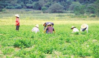 信丰纳入赣州都市区什么意思 江西省赣州市信丰县