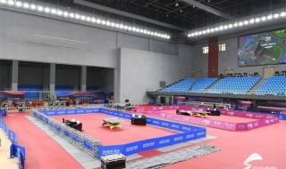 2020年的乒乓球世界杯总决赛女单冠军 2020乒乓球男子世界杯决赛直播